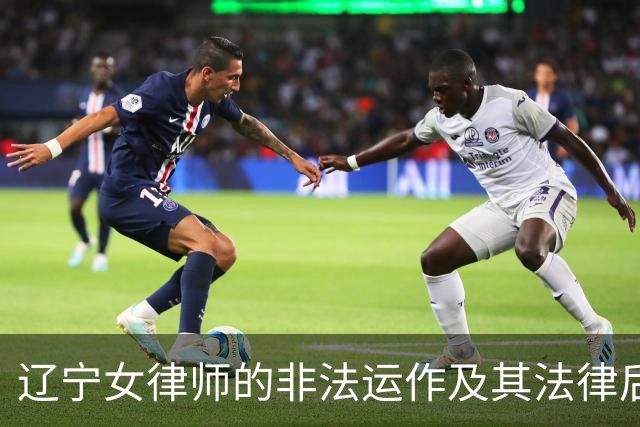 辽宁女律师的非法运作及其法律后果分析